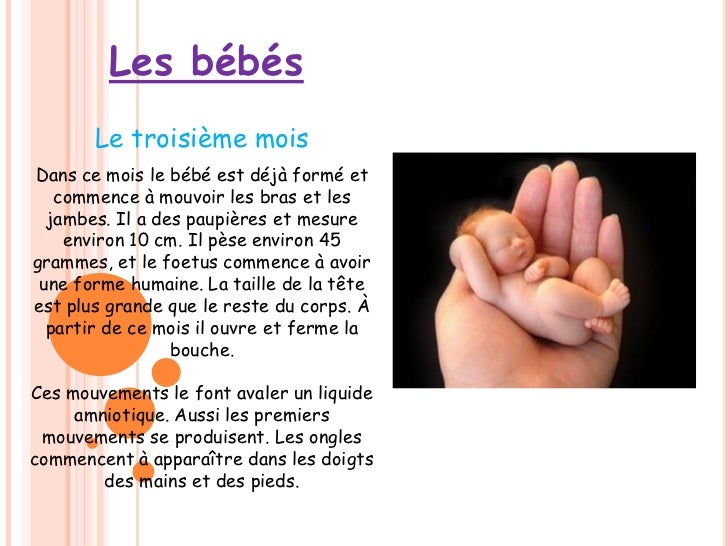 Le Foetus Dans La Grossesse De 3 Mois Martacano Y Sofiabardaji